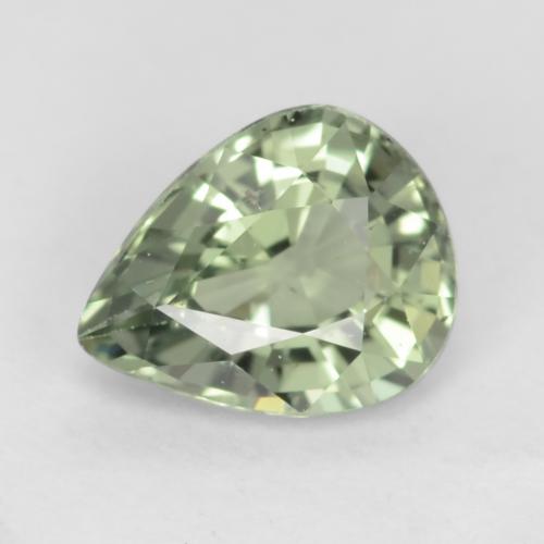 Light Forest Green Sapphire Gem - 0.8ct Pear Facet (ID: 538948)