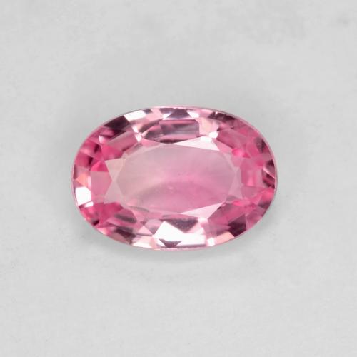 Bubblegum Pink Sapphire Gem - 0.8ct Oval Facet (ID: 539174)