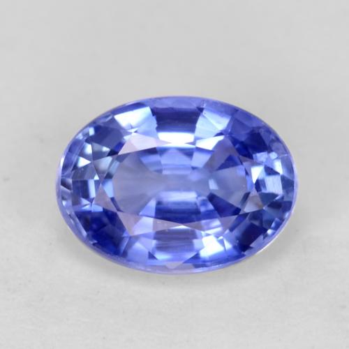Azul aciano claro Zafiro Gema - 0.8ct Forma ovalada (ID: 541842)