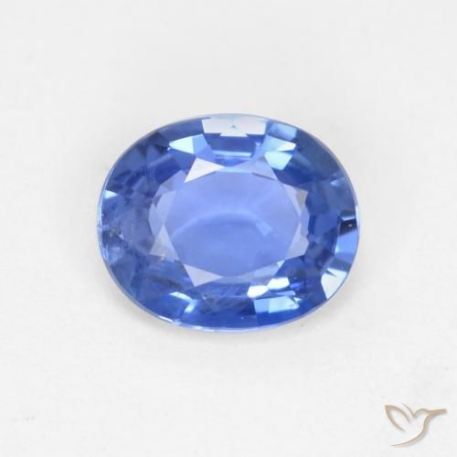Details about   500 Ct Blue Sapphire & Citrine Mix Shape Loose Gemstone Lot New Product 