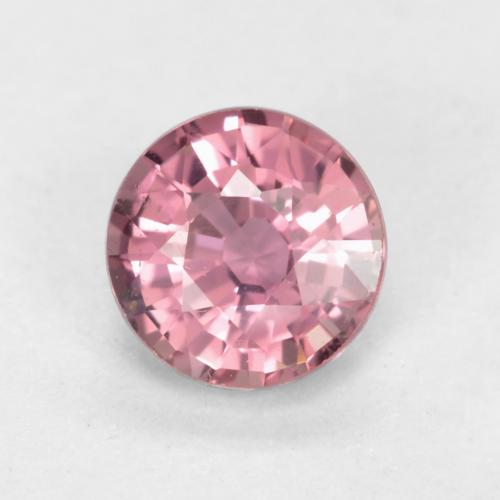 薄いピンクのバブルガム サファイア 宝石 - 0.5ct ラウンドファセット (ID: 554653)