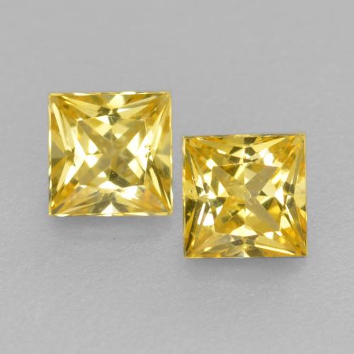 Tuscany Yellow Sapphire Gem - 0.2ct Princess-Cut (ID: 559437)