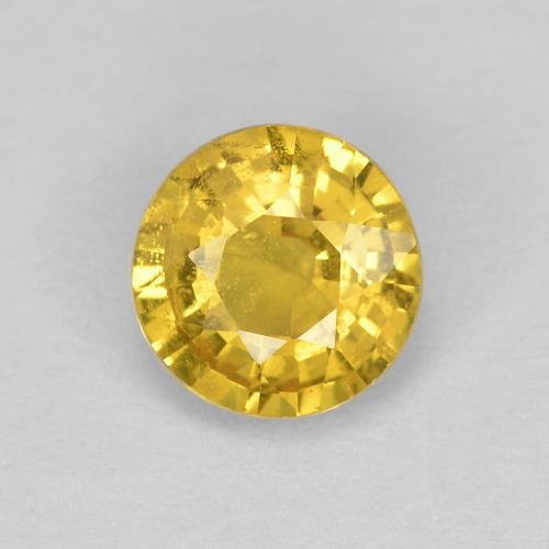 Honey Yellow Sapphire Gem - 0.5ct Round Facet (ID: 613465)