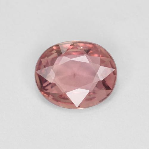 0.60 ct Pink Sapphire Gemstone, Sapphire Gem in Oval Facet Shape for Sale.