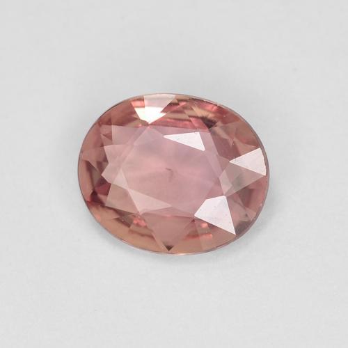 0.60 ct Pink Sapphire Stone, Natural Sapphire in Oval Facet Shape for Sale