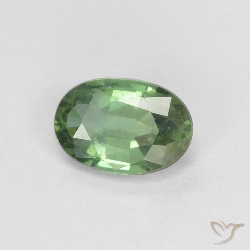 0.53ct Natural Forest Green Sapphire, Oval, VVS-VS