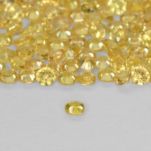Sapphire Gemstone in 1.4 mm (calibrated) Size for Sale, Sapphire Stone in Medium Light-Yellow Color