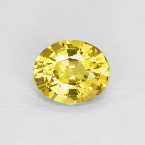 0,73 ct loser gelber Saphir, 6,1 x 5,1 mm Ovalschliff aus Tansania, Photo A