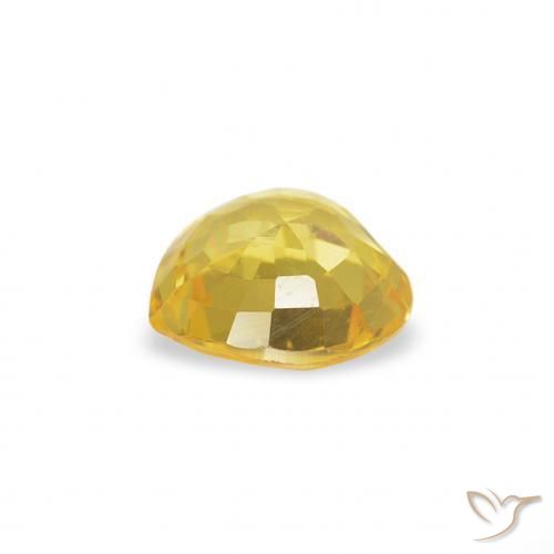 Sapphire Gemstone in 4.4 x 4.4 mm Size for Sale, Sapphire Stone in Honey Yellow Color