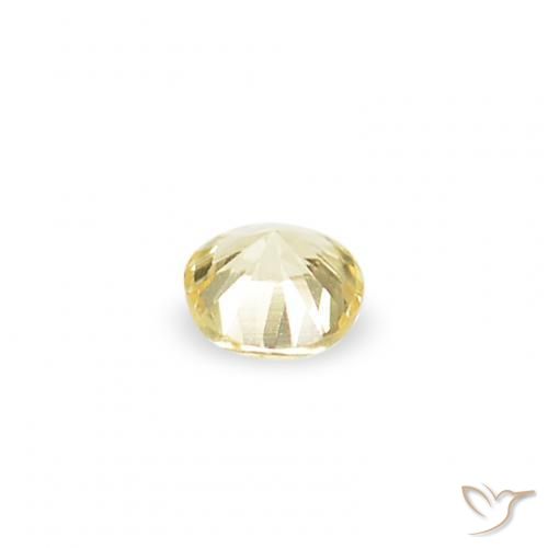 Sapphire Gemstones in 1.4 mm (calibrated) Size for Sale, Sapphire Stones in Light Yellow Color