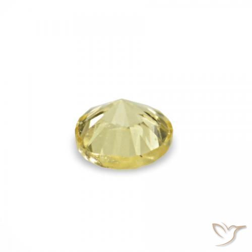 Sapphire Gemstones in 1.4 mm (calibrated) Size for Sale, Sapphire Stones in Light Yellow Color