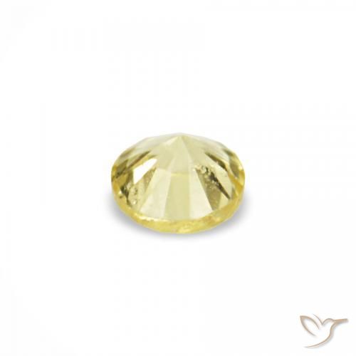 Sapphire Gemstones in 1.4 mm (calibrated) Size for Sale, Sapphire Stones in Light Yellow Color