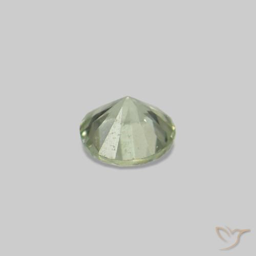 Sapphire Gemstones in 1.6 mm Size for Sale, Sapphire Stones in Warm Green Color