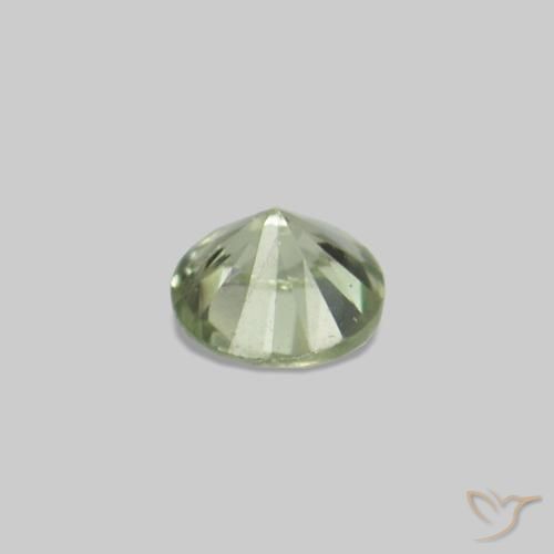 Sapphire Gemstones in 1.6 mm Size for Sale, Sapphire Stones in Warm Green Color
