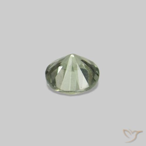 Sapphire Gemstones in 1.6 mm Size for Sale, Sapphire Stones in Warm Green Color