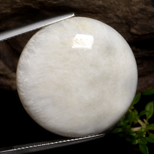 Cream White Scolecite Gem - 28.6ct Round Cabochon (ID: 472808)