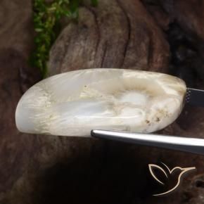 Scolecite Gemstone in 36.9 x 20.3 mm Size for Sale, Scolecite Stone in White Color