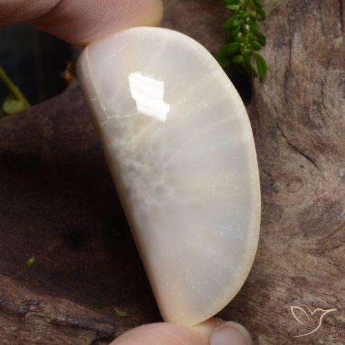 41,7x20,3 mm fancy-schliff weißer Scolecit aus Südafrika, Gewicht 63,74 ct, 1 Stück Scolecit - Farbe: Mehrfarbiges Weiß, natürlicher Edelstein in Opaque Reinheit, Mohs-Härte von 5 - 5,5, Photo A