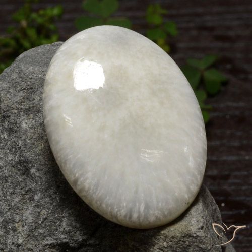 30,9 x 23,4mm weißer Scolecit im Oval-Cabochon Schliff aus Südafrika, Gewicht 30,79 ct, Garantiert echter Edelstein in Opaque Reinheit, 1 Stück Scolecit - die Farbe ist Nicht-gerade weiss, Mohs-Härte von 5 - 5,5, Photo A