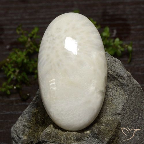 40 x 22,9mm ovaler weißer Scolecit aus Südafrika, Gewicht von 48,61 ct, natürlicher Edelstein in Opaque Reinheit, 1 Stück ovaler Scolecit - Farbe: Hellweiß, Mohs-Härte von 5 - 5,5, Photo A