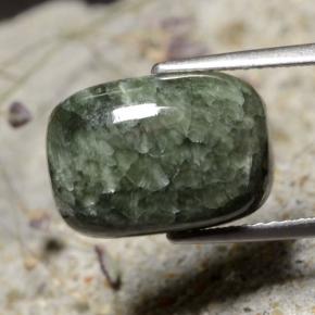5.99 ct Green Seraphinite Stone, Natural Seraphinite in Cushion Cabochon Shape for Sale