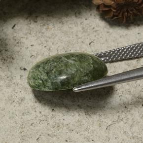 Seraphinite Gemstone in 14.4 x 12.9 mm Size for Sale, Seraphinite Stone in Green Color