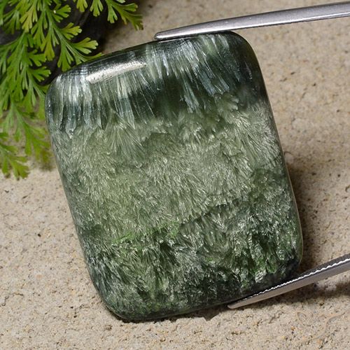 36,7 x 29,7mm grüner Seraphinite im Kissen Cabochon aus Russland, Gewicht 52,02 ct, Garantiert echter Edelstein in Opaque Reinheit, 1 Stück Seraphinite - die Farbe ist Erdiges Grün, Mohs-Härte von 2 - 4, Photo A