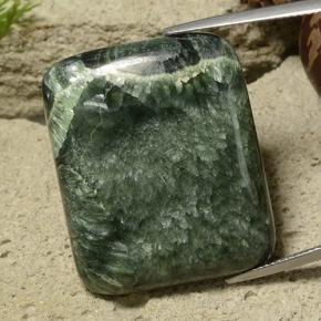 Verde scuro Serafinite Gem - 46.5ct Cabochon a cuscino (ID: 485982)