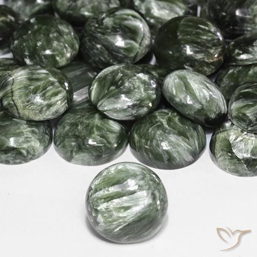 72.71 ctw Green Seraphinite Stones, Natural Seraphinite in Round Cabochon Shape for Sale