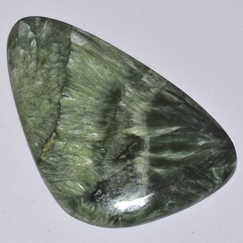 Forest Green Seraphinite Gem - 21.4ct Fancy Cabochon (ID: 514357)