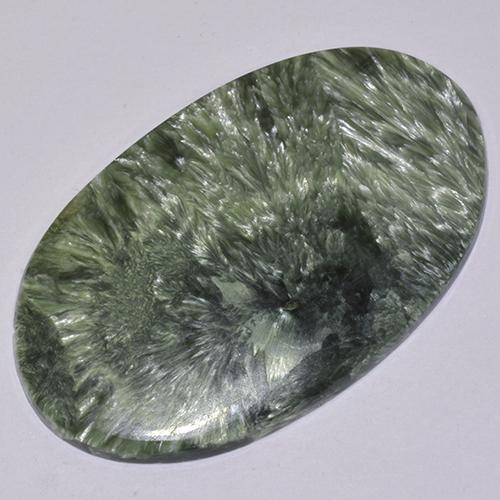 Зеленый различных оттенков Серафинит Камень - 19.7ct Овал Кабошон (ID: 514363)