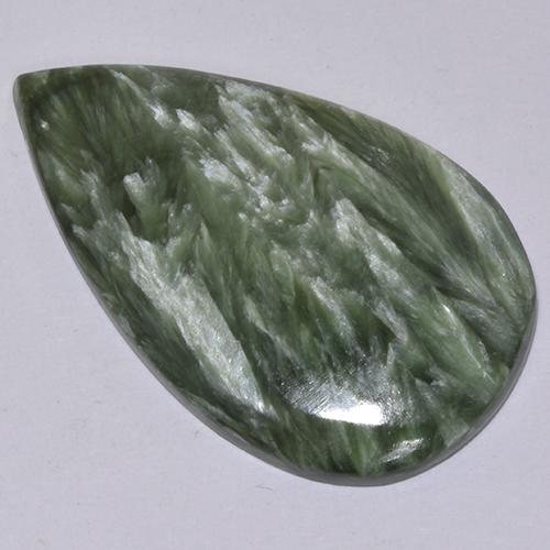 Medium Green Seraphinite Gem - 15.3ct Pear Cabochon (ID: 514364)