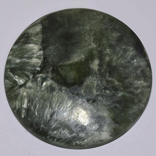 Medium Green Seraphinite Gem - 20.3ct Round Cabochon (ID: 514365)