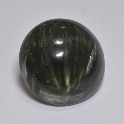 2.93 ct Green Seraphinite Stone, Natural Seraphinite in Round Cabochon Shape for Sale