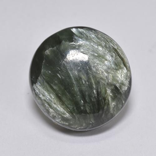 4.10 ct Green Seraphinite Gemstone, Seraphinite Gem in Round Cabochon Shape for Sale.