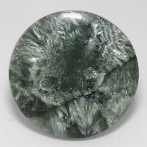 Medium Green Seraphinite Gem - 22.8ct Round Cabochon (ID: 541808)
