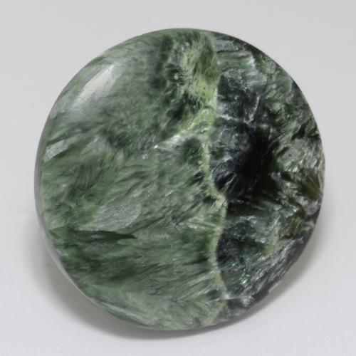 Medium Green Серафинит Камень - 34.7ct Круглый Кабошон (ID: 541825)