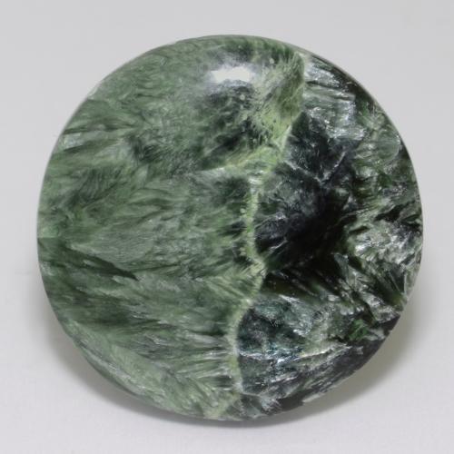 34.73 ct Green Seraphinite Stone, Natural Seraphinite in Round Cabochon Shape for Sale