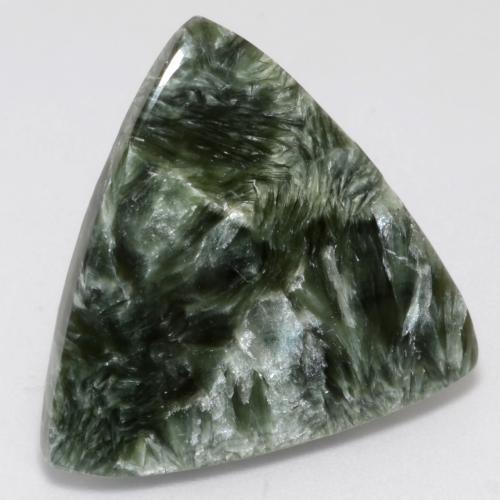 12.51 ct Green Seraphinite Stone, Natural Seraphinite in Trillion Cabochon Shape for Sale