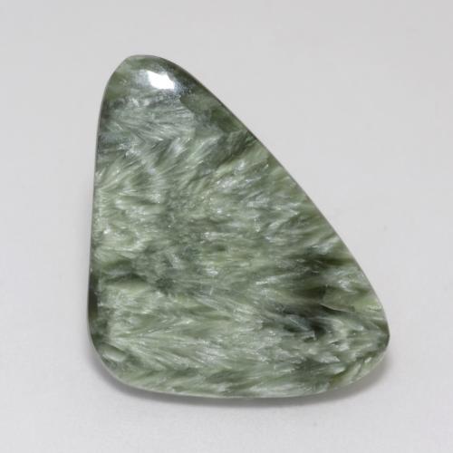 Medium Green Seraphinite Gem - 8.6ct Trillion Cabochon (ID: 541973)