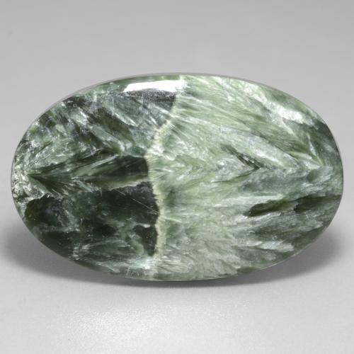 Medium Green Серафинит Камень - 29.2ct Овал Кабошон (ID: 542138)