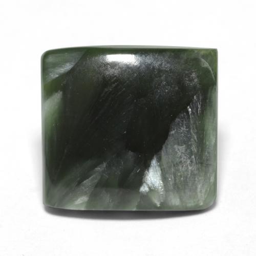 Forêt verte Seraphinite gemme - 4ct Cabochon carré (ID: 548590)