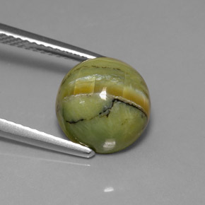 3.99 ct Green Serpentine Stone, Natural Serpentine in Round Cabochon Shape for Sale