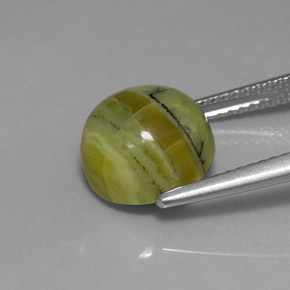 Serpentine Gemstone in 10 mm (calibrated) Size for Sale, Serpentine Stone in Yellowish Green Color