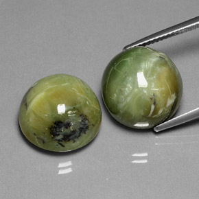 24.48 ct Green Serpentine Stone, Natural Serpentine in Round Cabochon Shape for Sale