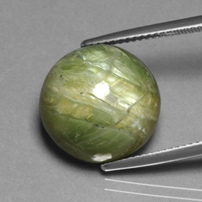 11.85 ct Green Serpentine Stone, Natural Serpentine in Round Cabochon Shape for Sale