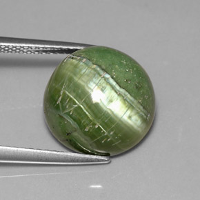 6.40 ct Green Serpentine Stone, Natural Serpentine in Round Cabochon Shape for Sale