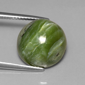 7.28 ct Green Serpentine Stone, Natural Serpentine in Round Cabochon Shape for Sale