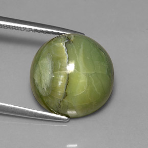7.23 ct Green Serpentine Stone, Natural Serpentine in Round Cabochon Shape for Sale