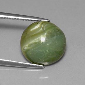 4.61 ct Green Serpentine Stone, Natural Serpentine in Round Cabochon Shape for Sale